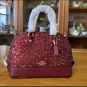 Adorable Red Glitter Mini Sierra Purse